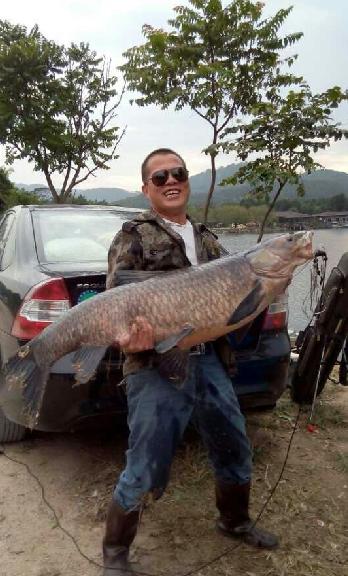 广东佛山男子钓起51斤超大黑鲩 身长1.2米