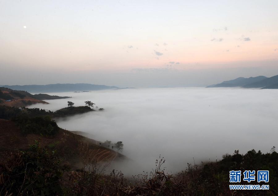 西双版纳基诺山云海