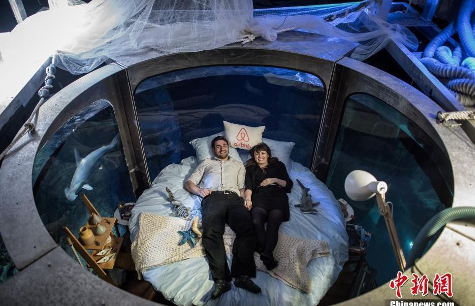 巴黎水族馆开放水下房间 可与35只鲨鱼共眠