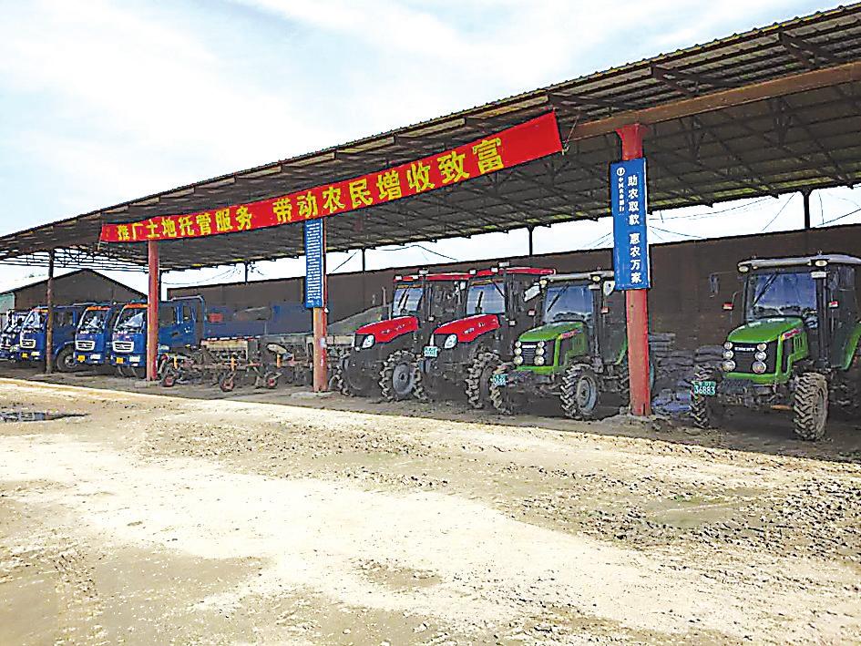 吉林省供销社综合改革 变中求新盘活全局