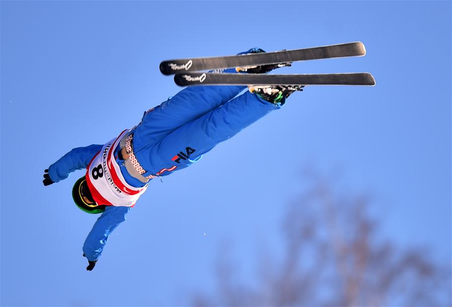 自由式滑雪--空中技巧世界杯首站男子组赛况 - 吉林频道 - 新华网