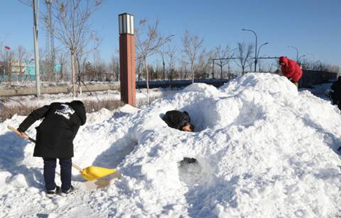 2017长白山国际冰雪嘉年华系列活动之全民堆