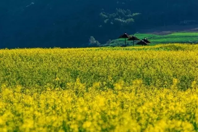 五月去哪玩?最值得去的10个美景等你来!