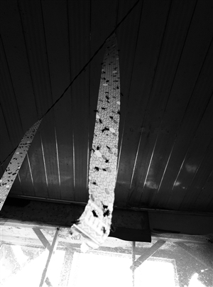 长春朝阳区开展信息封闭式联合检查 无证幼儿