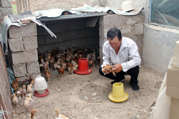 通榆兴隆山镇长发村脱贫典型臧志刚侧记