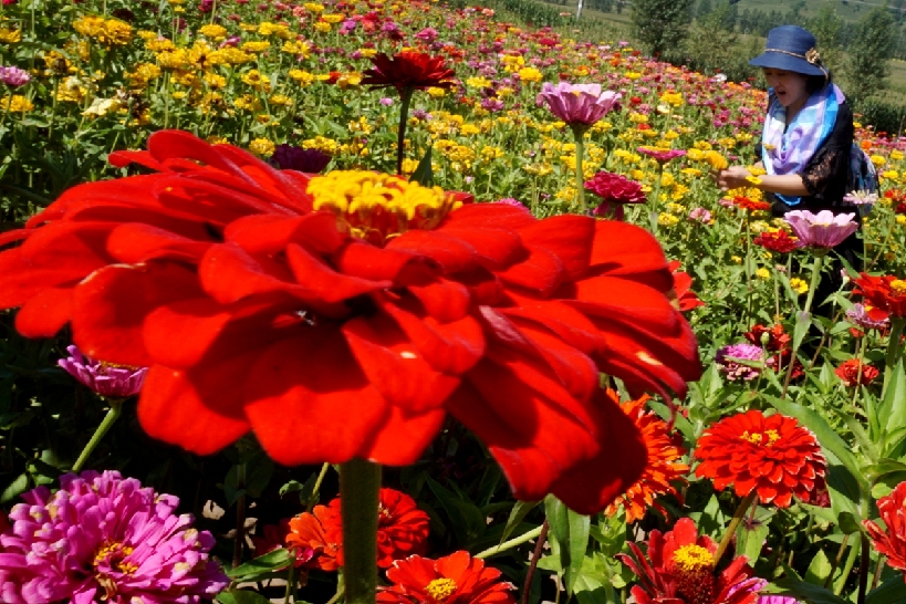 吉林桦甸:生态休闲农业助农增收