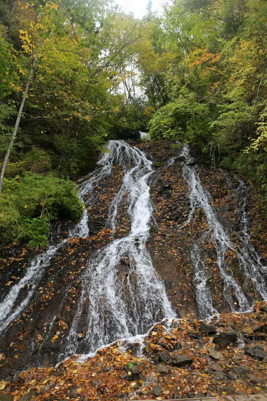 火山的灼痕:长白山十五道沟