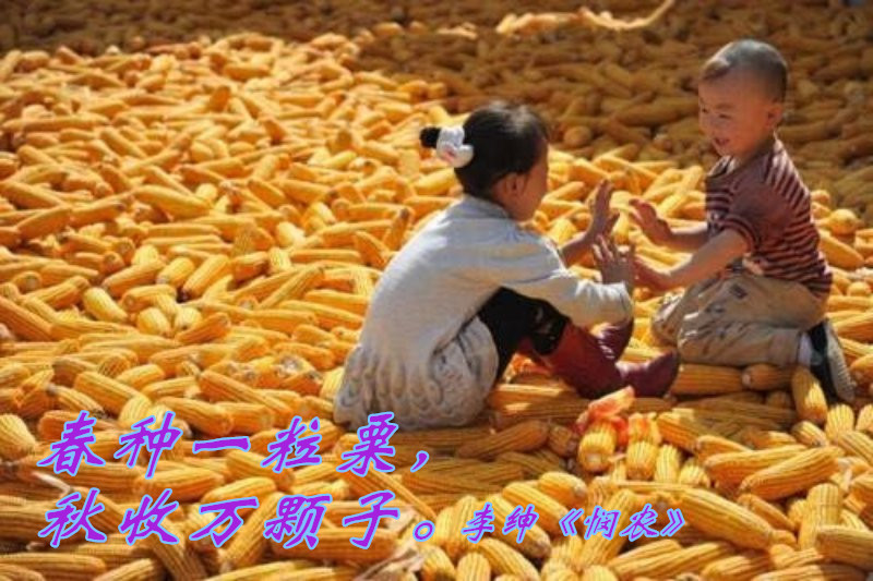 藏在长春秋天里的唐诗,你发现了吗?