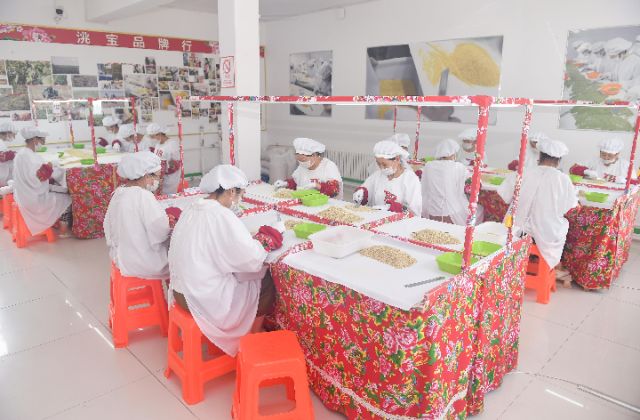 新华社记者跟随大学生回村创业日记