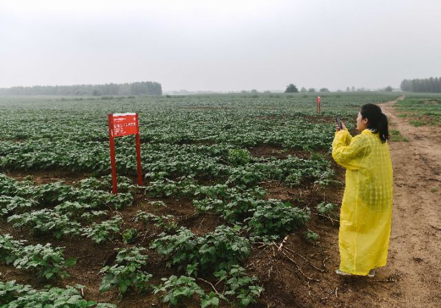 新华社记者跟随大学生回村创业日记