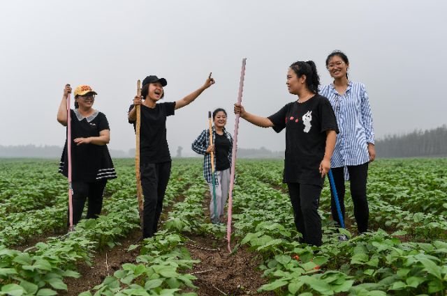 新华社记者跟随大学生回村创业日记