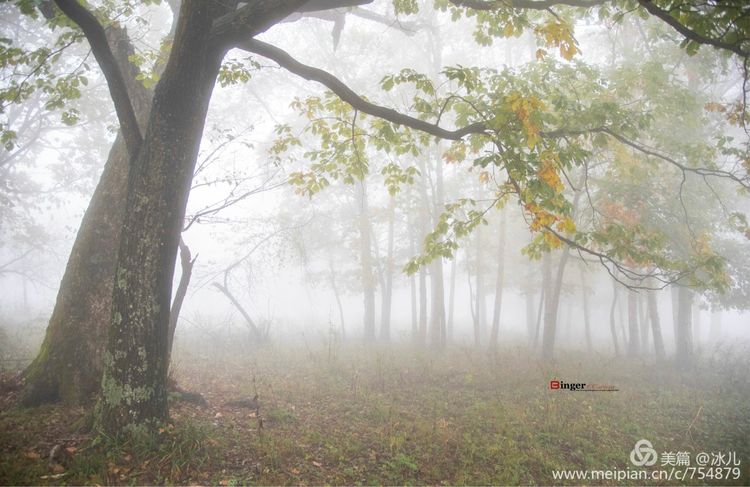 《赏意浓 秋日风情万种》 四方顶子之秋