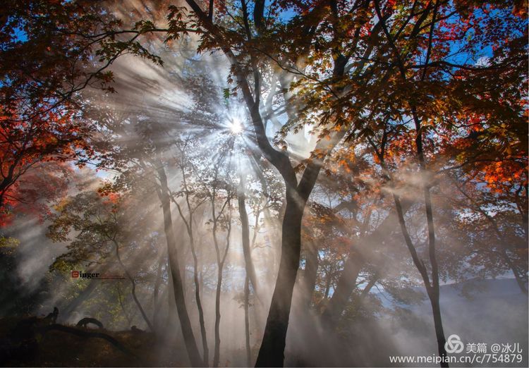 《赏意浓 秋日风情万种》 四方顶子之秋