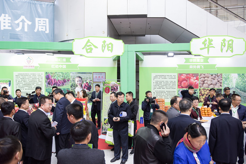 渭南名优农特产品来长春展销 要买好吃的水果