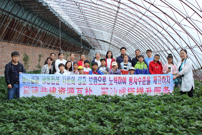 龙井市234工作法提升在职党员进社区活动