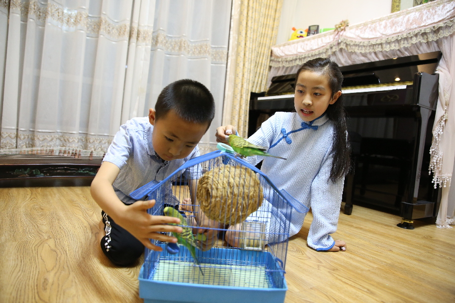 左手钢琴右手古筝 延吉9岁才女何玥收获8万粉