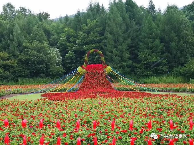 快来金川花海 拍出美翻天的照片!