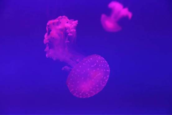 説明: 微信圖片_20200814092723 説明: 微信圖片_20200814092723