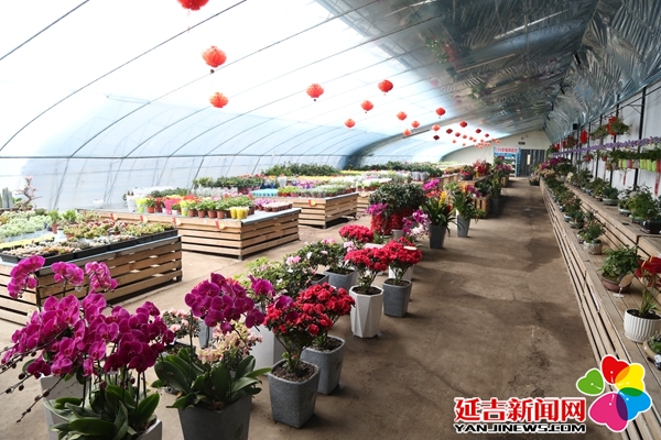 延吉gdp_2019年吉林省县市人均GDP排名延吉市升至第一梅河口降至第三