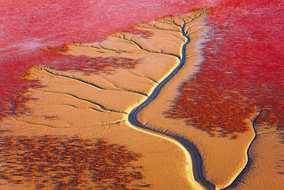 安图县与吉林省政府驻上海办事处建立劳务合作