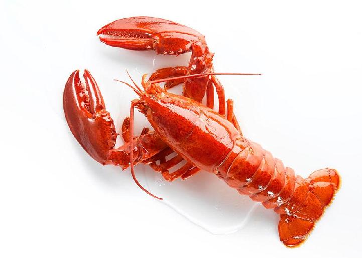 新华网吉林频道-健康频道