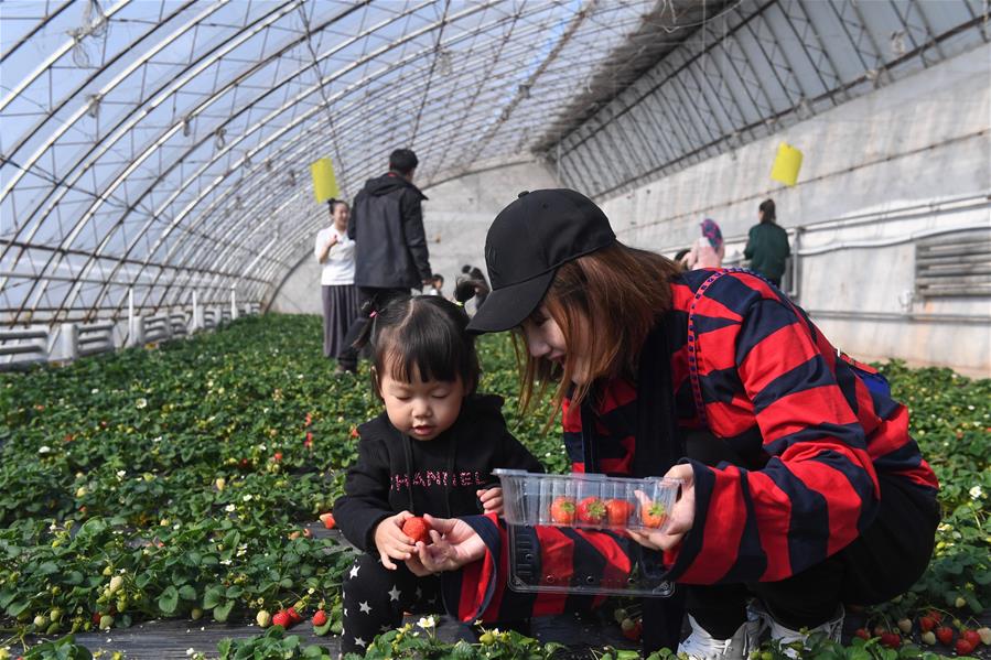 长春-吉林自驾游-新华网吉林频道