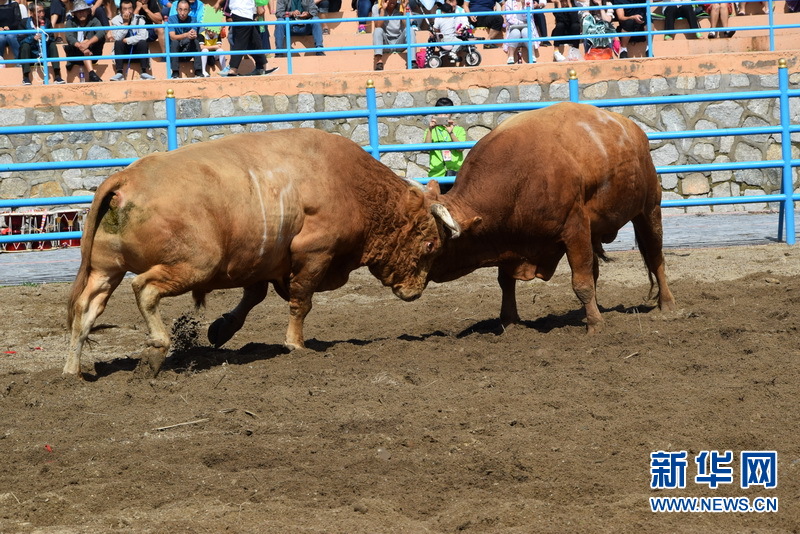 吉林省干部作风大整顿活动领导小组办公室会议