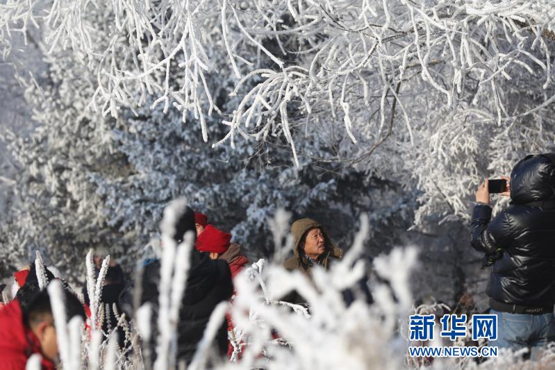 吉林市今年入冬以来最大雾凇