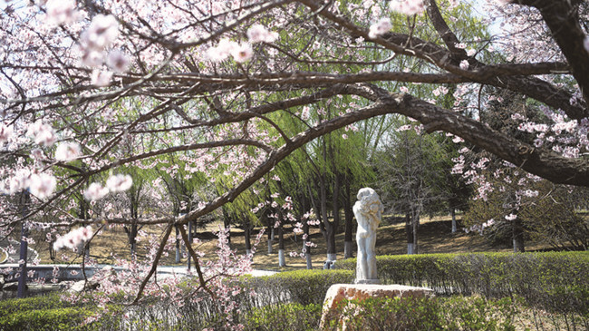 万尊雕塑“醉”花海