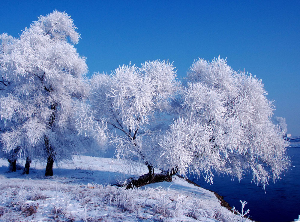 凇雪的日与夜之旅