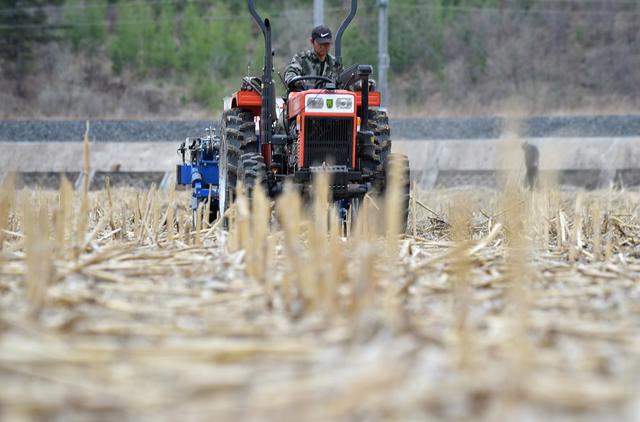 吉林：確保糧食播種面積穩定在8500萬畝