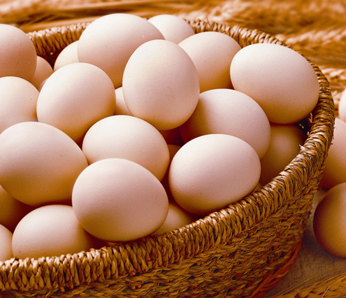 鹅蛋、鸡蛋、鸭蛋，哪种营养价值最高？