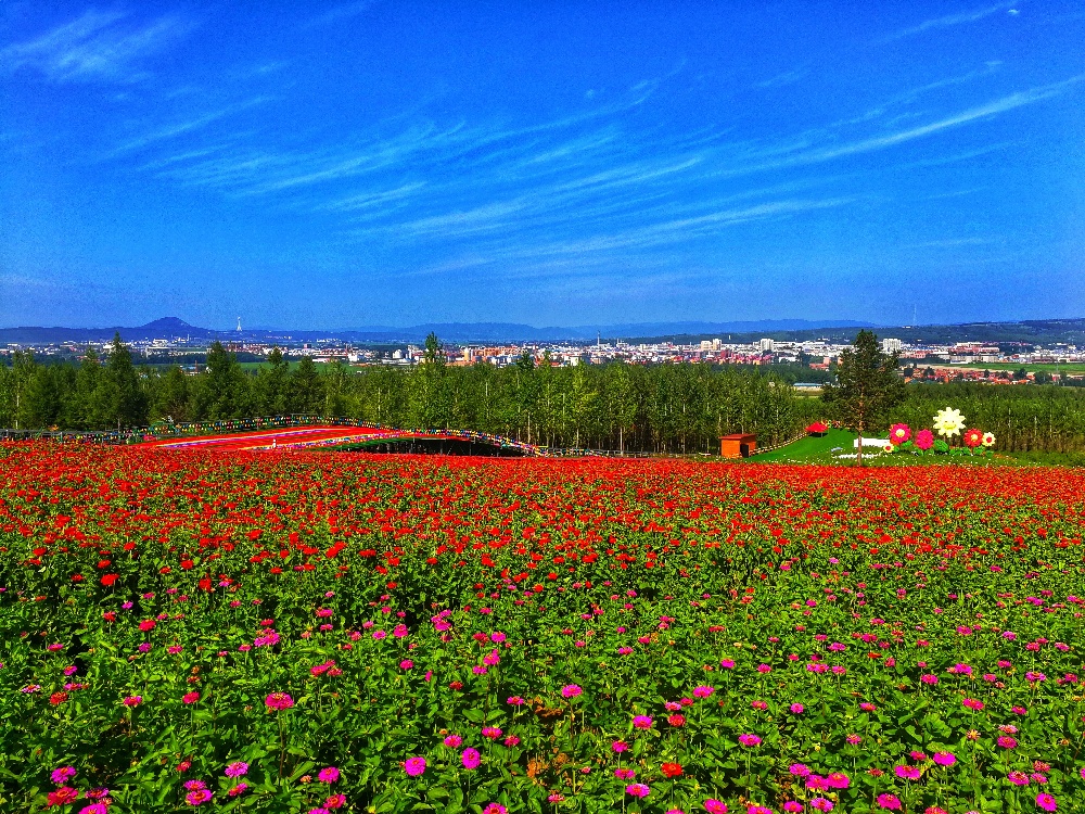 花海