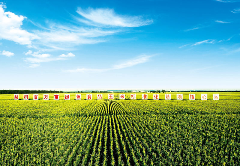 行动代号&ldquo;722&rdquo;！吉林倾力保护&ldquo;耕地中的大熊猫&rdquo;！