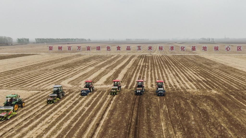 2021年4月26日，在吉林省四平市梨树县，农民驾驶农机进行免耕播种（无人机拍摄）。