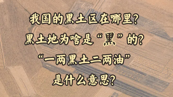 除了大熊猫，这个资源也很珍贵