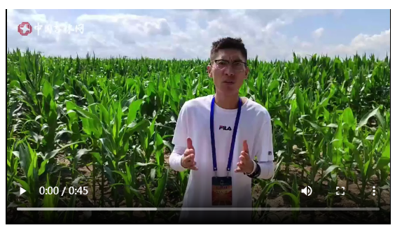 VLOG：看无人机机群如何完成喷洒作业