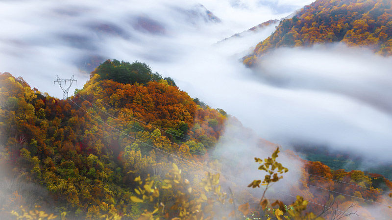 镜观吉林丨秋日美景 就在身边