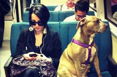 长春市体育局副局长:王皓是吉林人的骄傲 拼搏